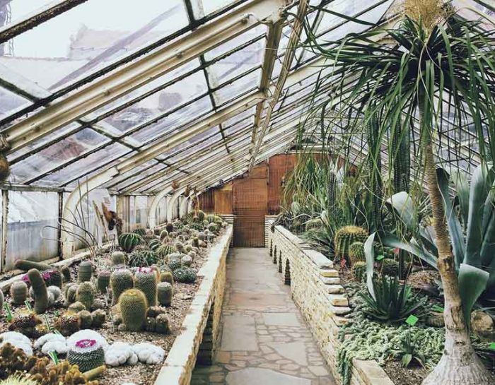 Enjoying Some Gardening with a Greenhouse