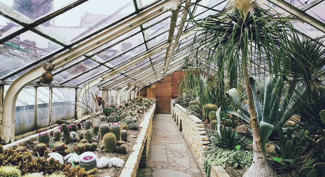 Enjoying Some Gardening with a Greenhouse