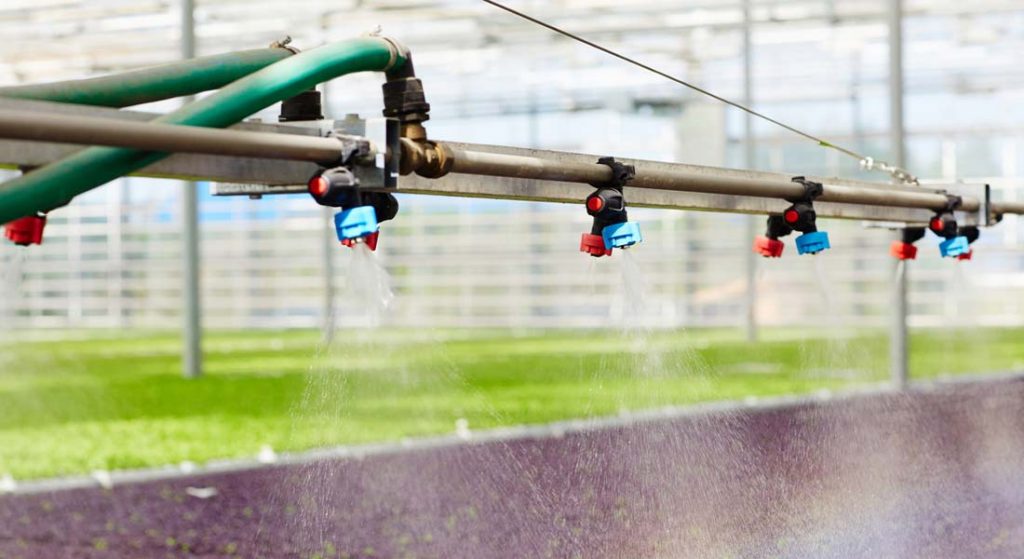 Equipment you’ll need for a More Productive Greenhouse Greenhouse