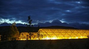 Greenhouse Lighting