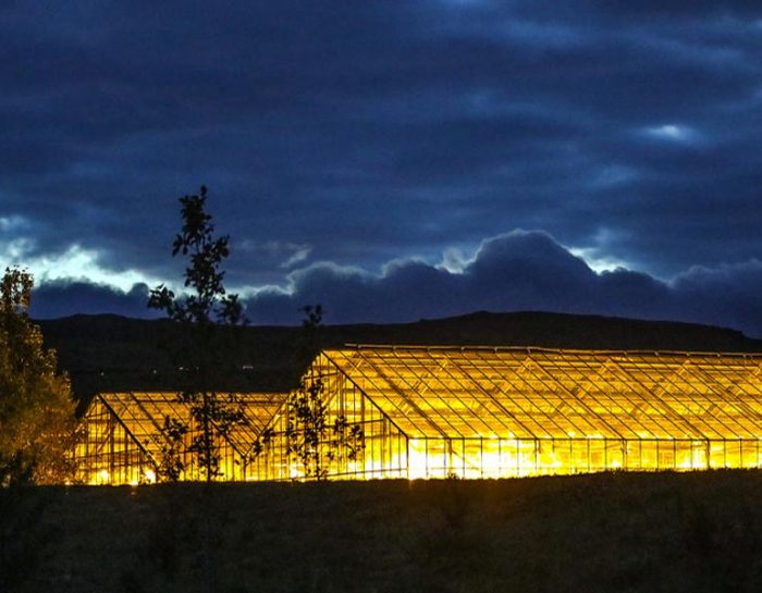 Five Factors to Consider When Choosing Greenhouse Lighting