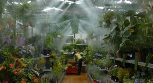 Greenhouse Misting System