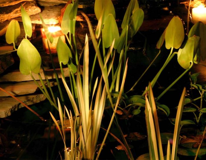 Warming It Up in the Greenhouse