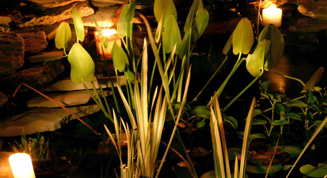 Warming It Up in the Greenhouse