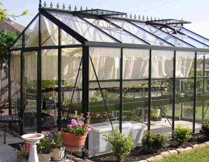 Building an Easy and Cost-effective Greenhouse on Your Back Yard