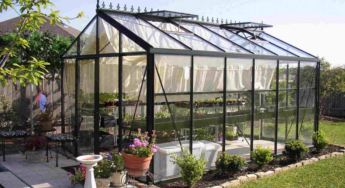 Building an Easy and Cost-effective Greenhouse on Your Back Yard