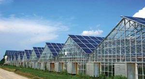 Constructing Commercial Greenhouse