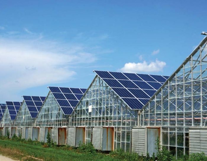 Guidelines for Constructing Your Commercial Greenhouse