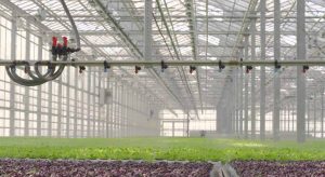 Greenhouse Humidification