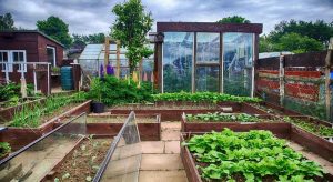 Hoop House