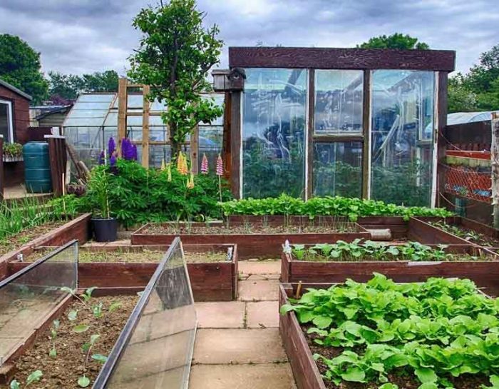 Hoop House Greenhouse