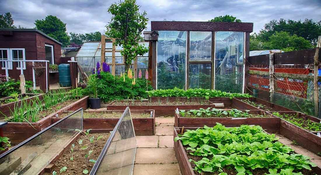 Hoop House Greenhouse