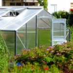 Greenhouse Ideal for Small Areas