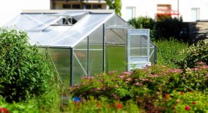 Mini greenhouse