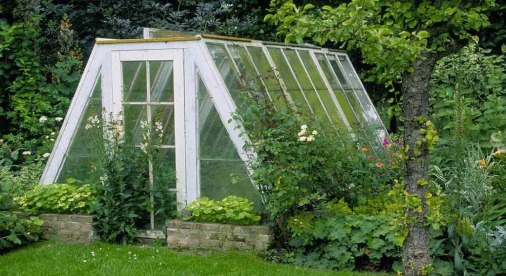 Thinking of Buying a Used Greenhouse? Greenhouse Gardening Tips