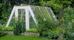 Used Greenhouse