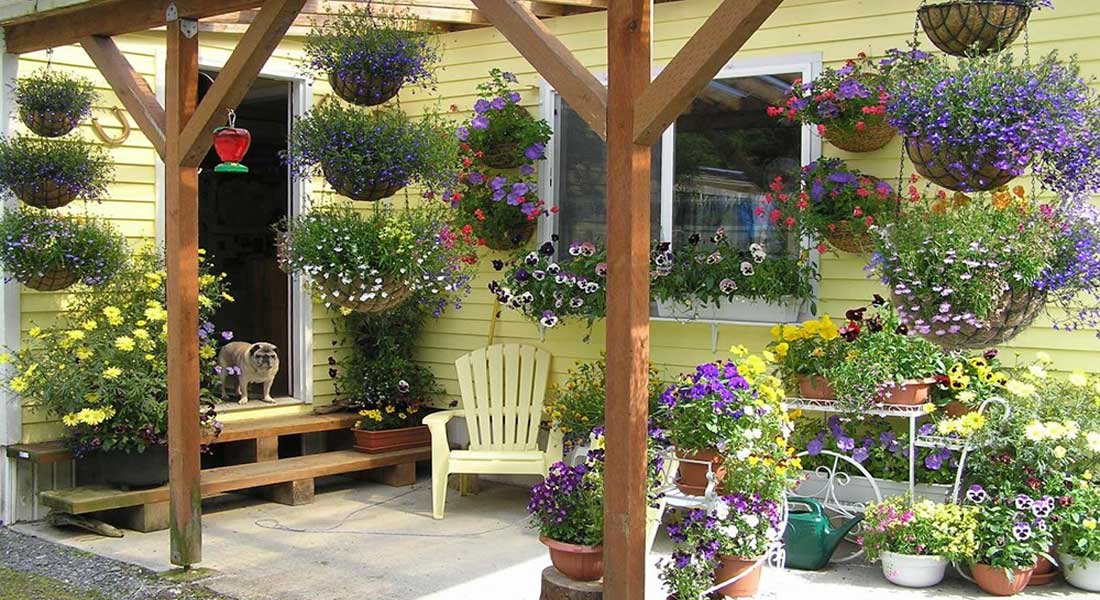 How to Create a Private Outdoor Sanctuary | Greenhouse Gardening Tips