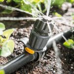 Ensuring You Have the Perfect Irrigation System for Your Yard