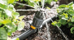 Perfect Irrigation System