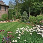 5 Ways To Make Your Landscaping Wildlife Friendly