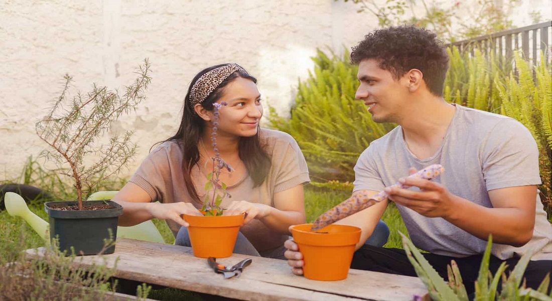 5 Reasons Why Gardening is The Perfect Pastime During Drug Addiction Recovery